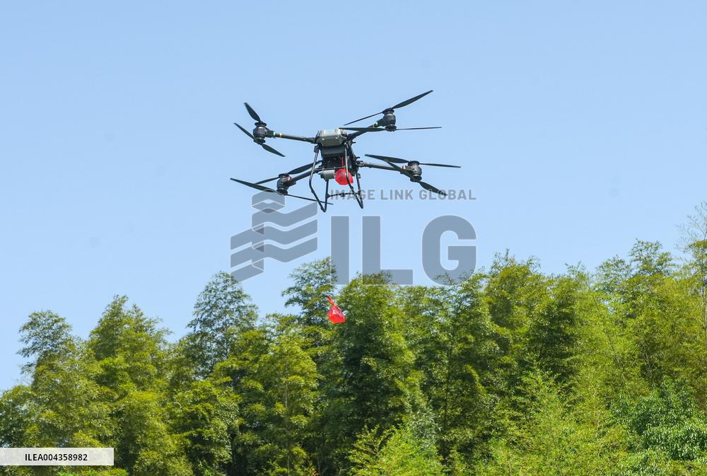 Forest Fire Drill in Huzhou