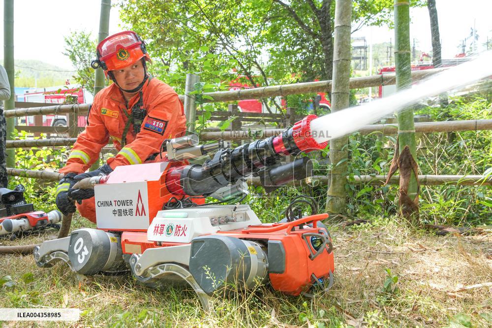 Forest Fire Drill in Huzhou
