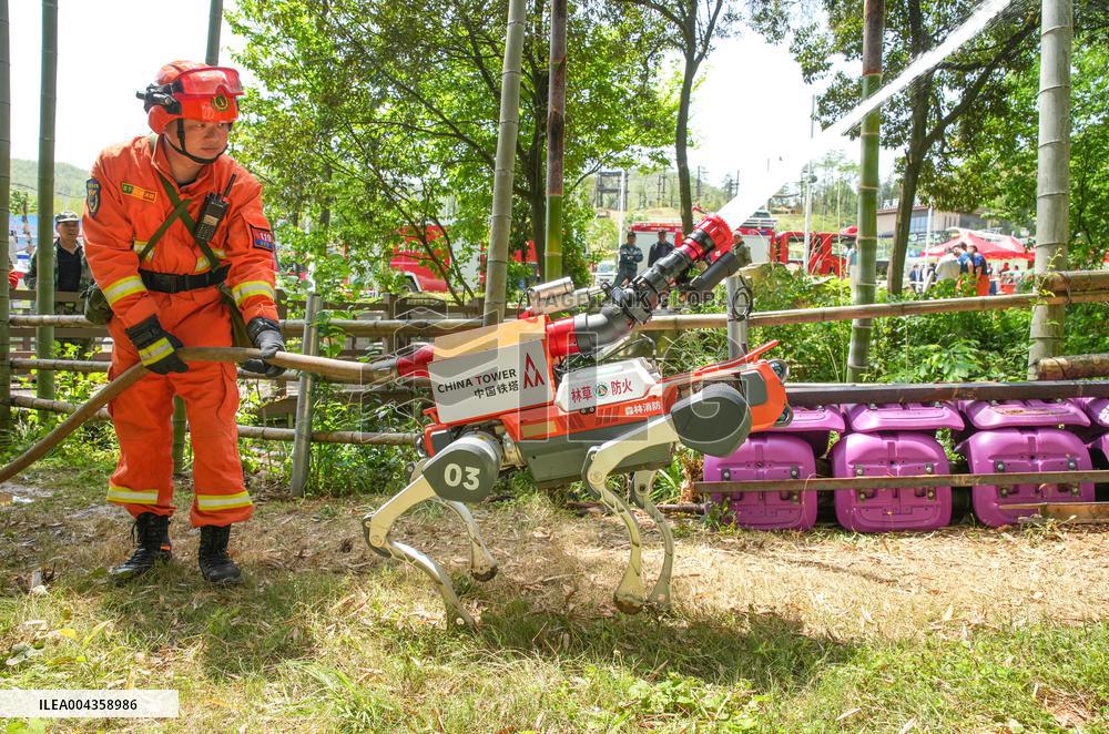 Forest Fire Drill in Huzhou