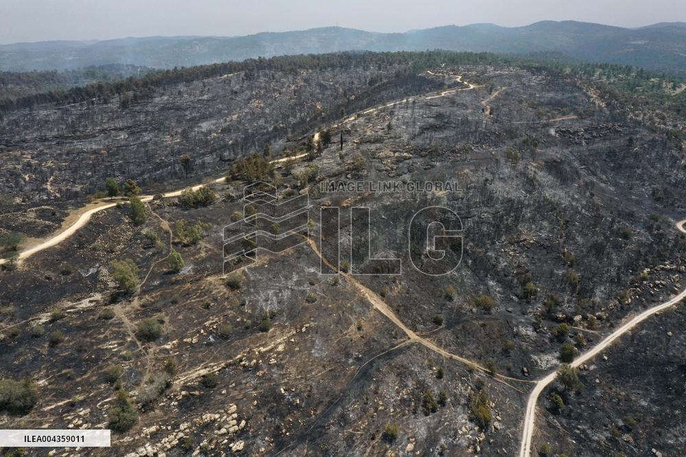 Wildfire Scorches Jerusalem Nature Reserve - Israel