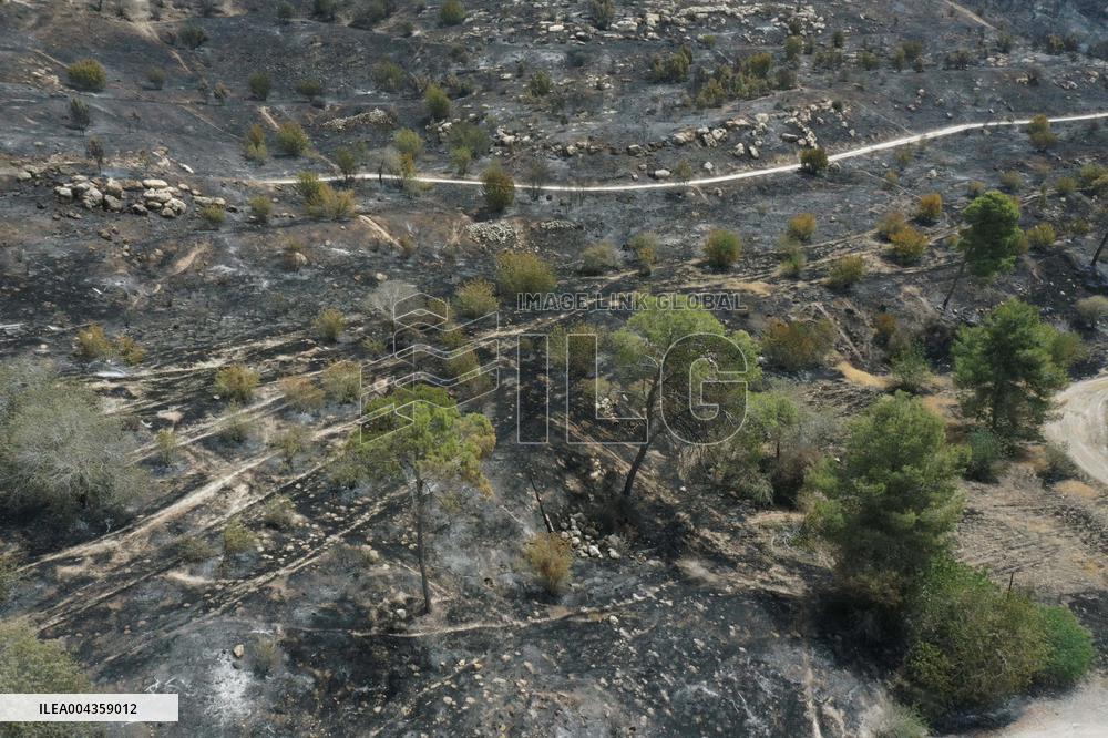 Wildfire Scorches Jerusalem Nature Reserve - Israel