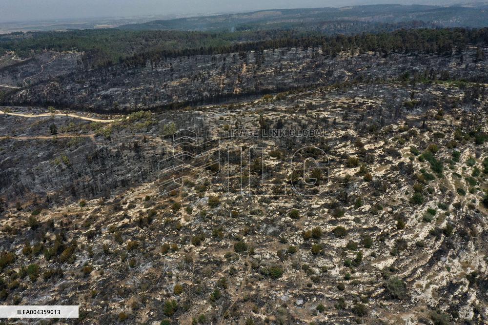 Wildfire Scorches Jerusalem Nature Reserve - Israel