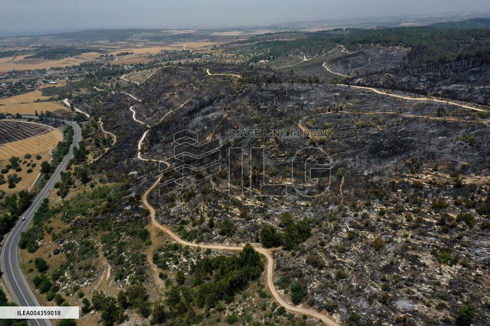 Wildfire Scorches Jerusalem Nature Reserve - Israel