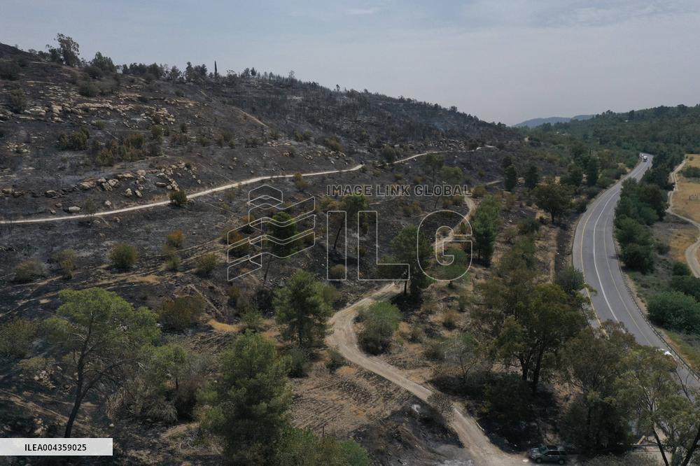 Wildfire Scorches Jerusalem Nature Reserve - Israel