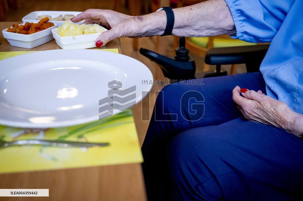 Elderly Woman In Wheelchair Illustrations - Netherlands