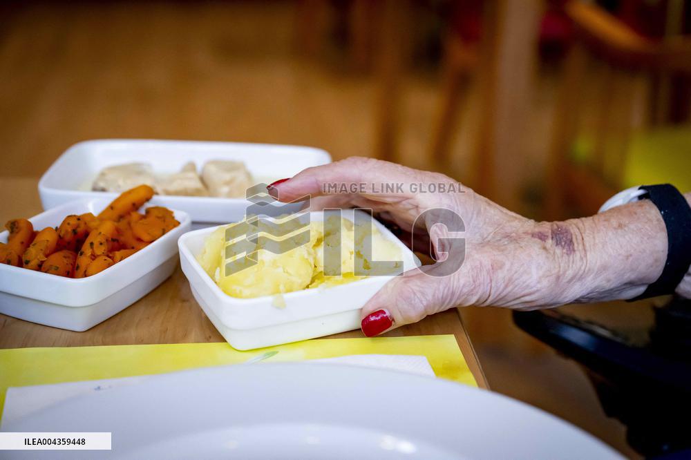Elderly Woman In Wheelchair Illustrations - Netherlands
