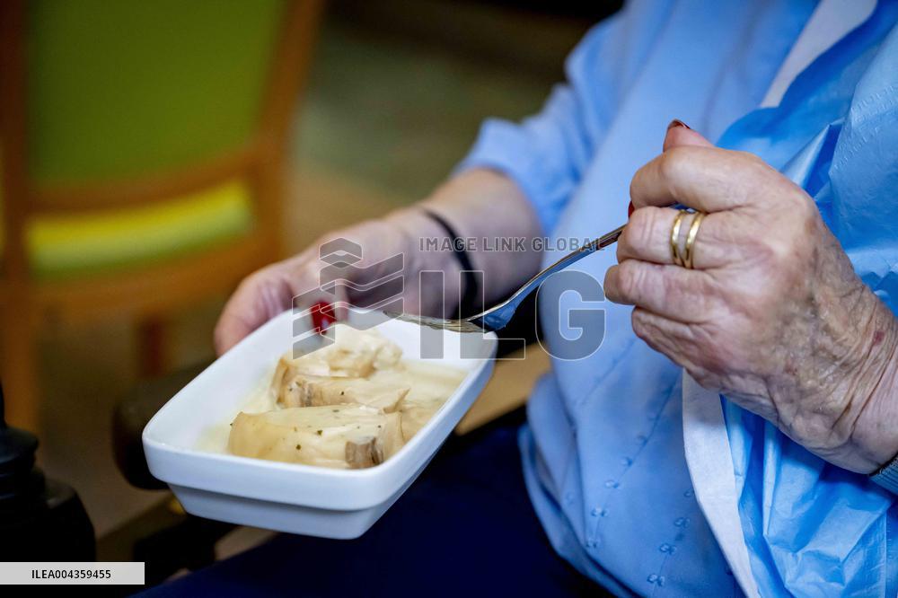 Elderly Woman In Wheelchair Illustrations - Netherlands
