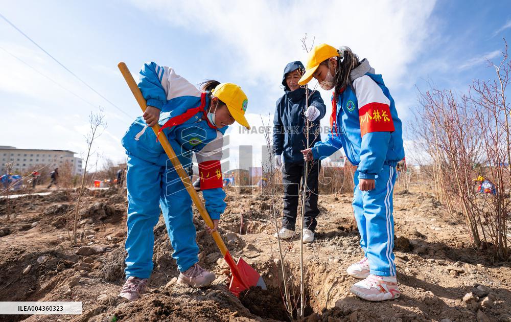 Voluntary Tree-planting Activity - China