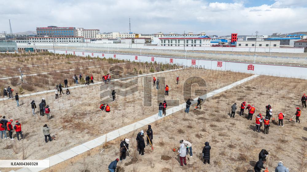 Voluntary Tree-planting Activity - China