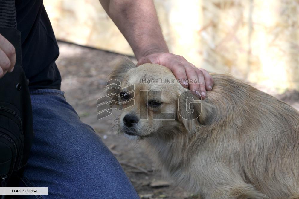 Pavlohrad after large-scale Russian drone attack