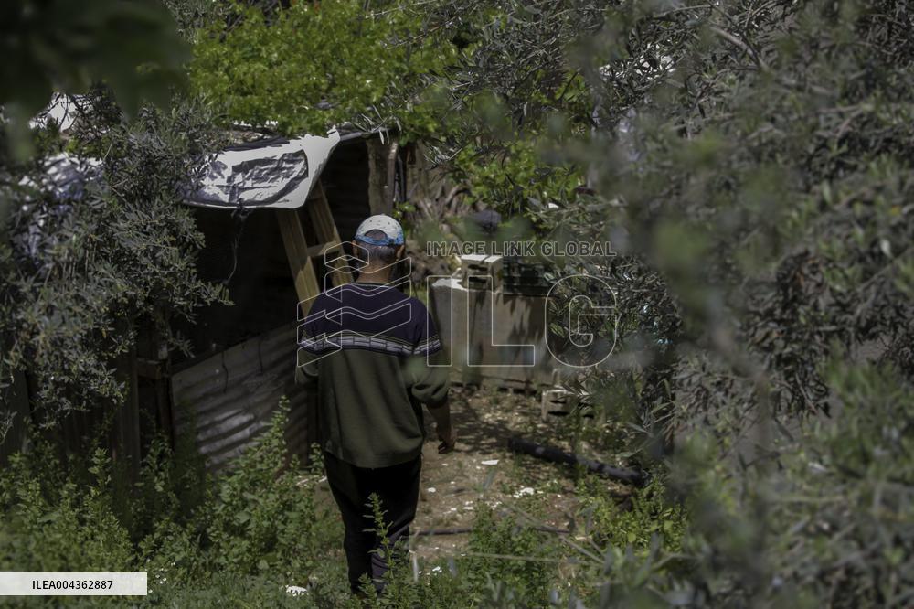 Israeli Operations in Jenin