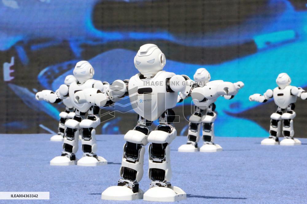 Shandong Province Robot Conference