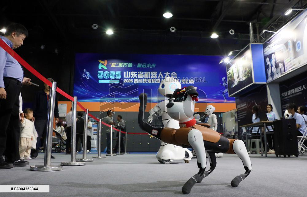 Shandong Province Robot Conference