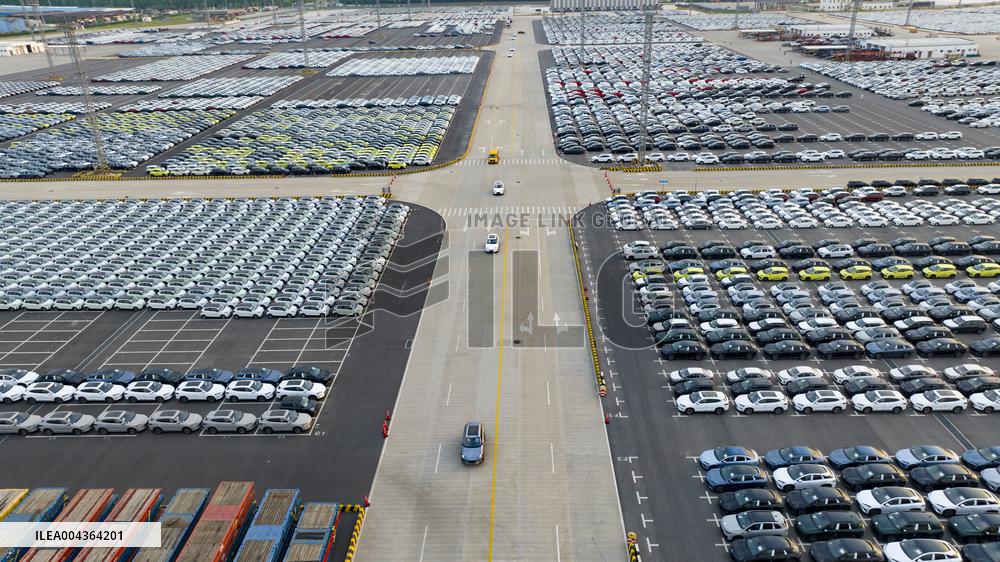 BYD Vehicles Export To Brazil