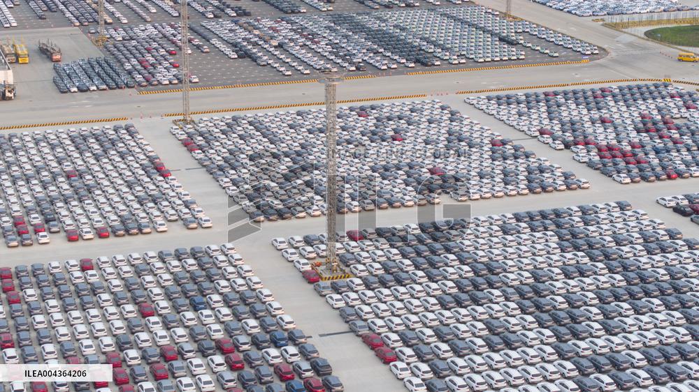 BYD Vehicles Export To Brazil