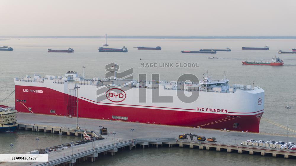 BYD Vehicles Export To Brazil