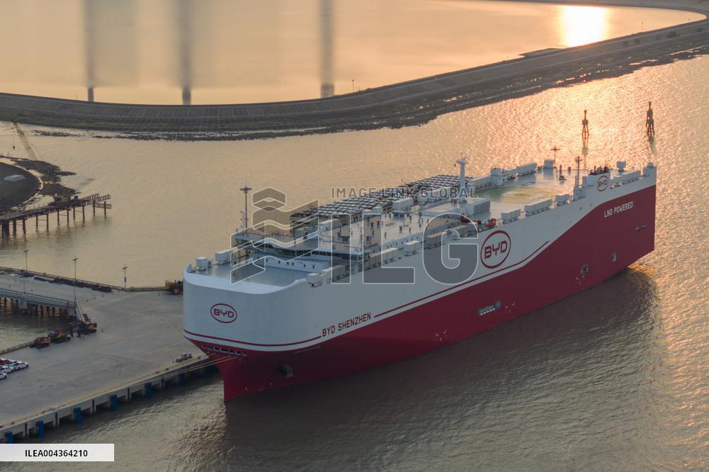 BYD Vehicles Export To Brazil