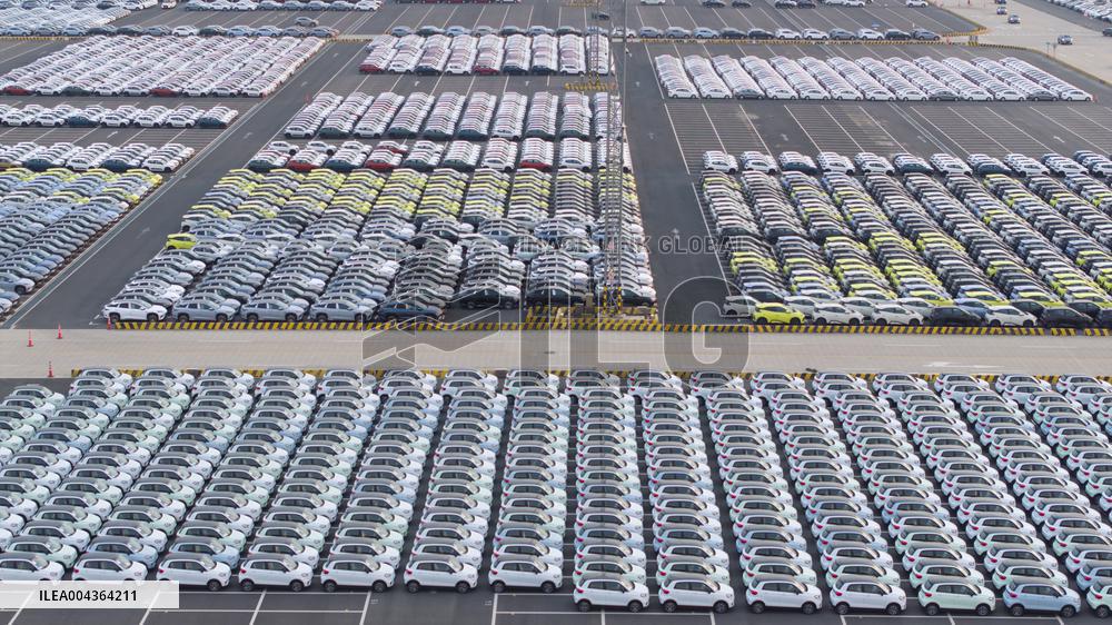 BYD Vehicles Export To Brazil