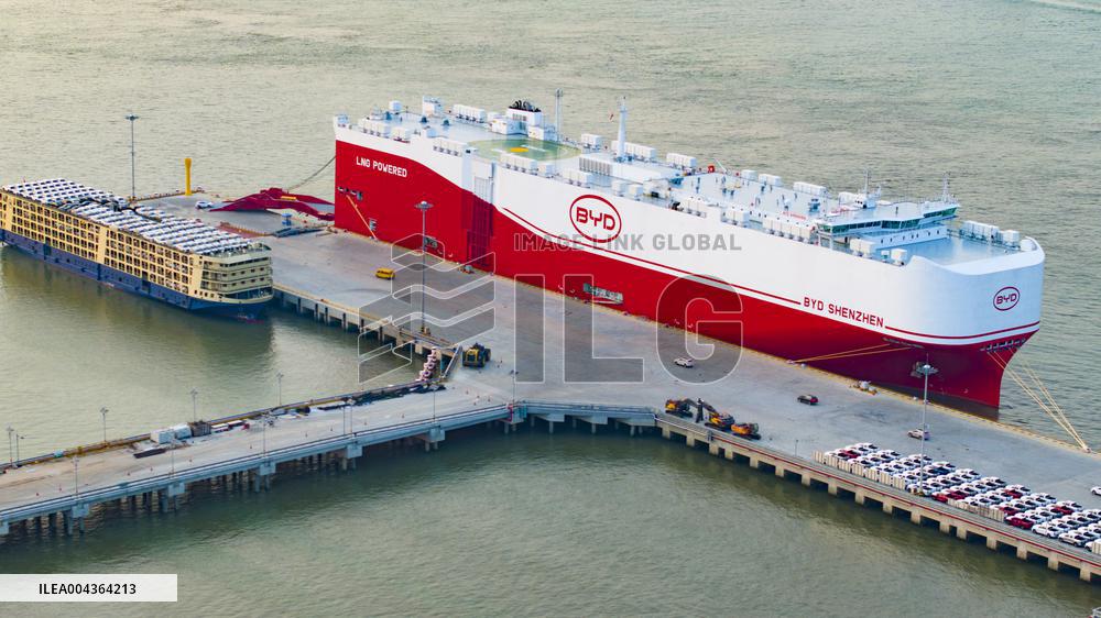BYD Vehicles Export To Brazil