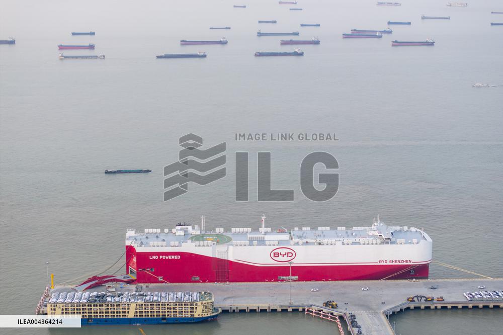 BYD Vehicles Export To Brazil