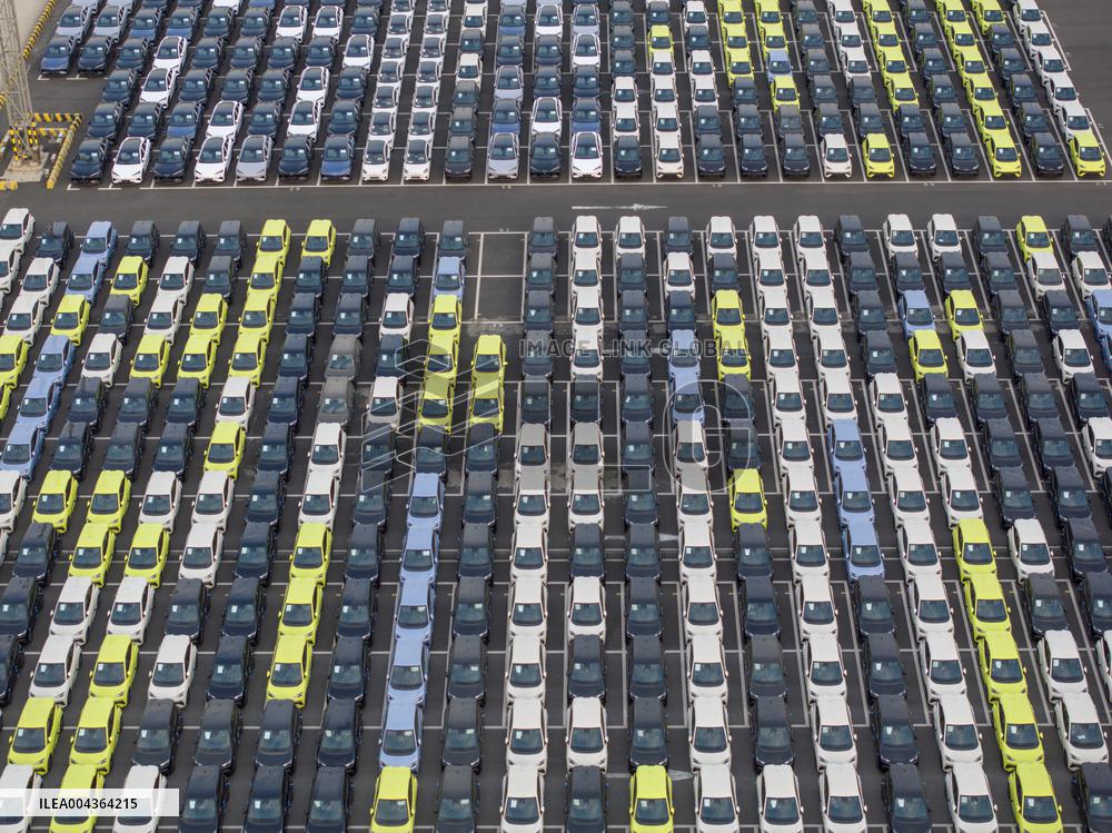 BYD Vehicles Export To Brazil