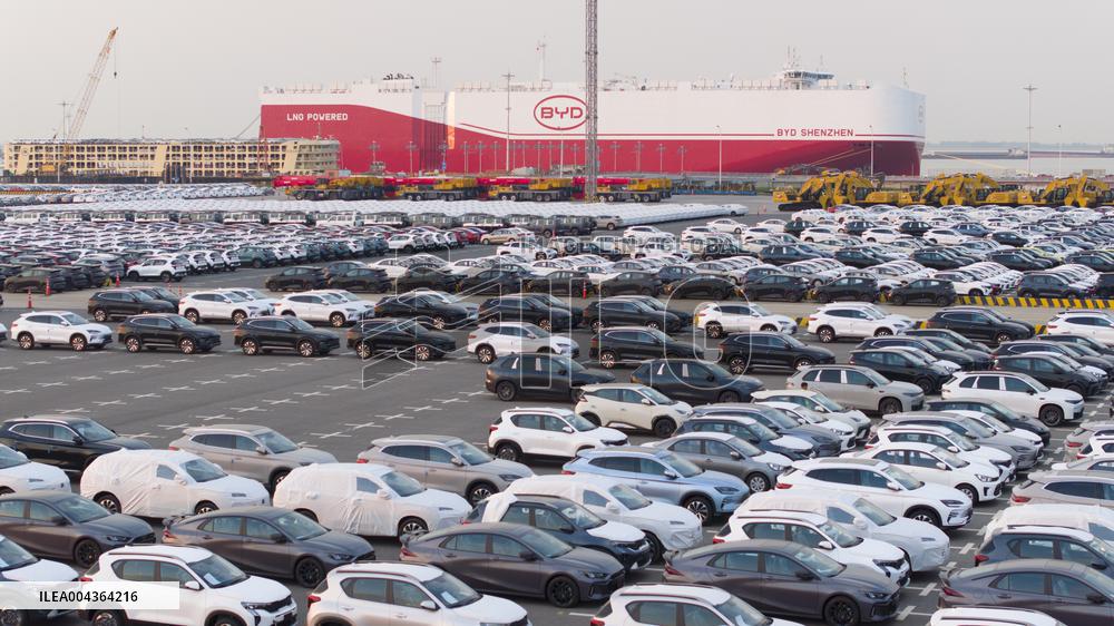 BYD Vehicles Export To Brazil