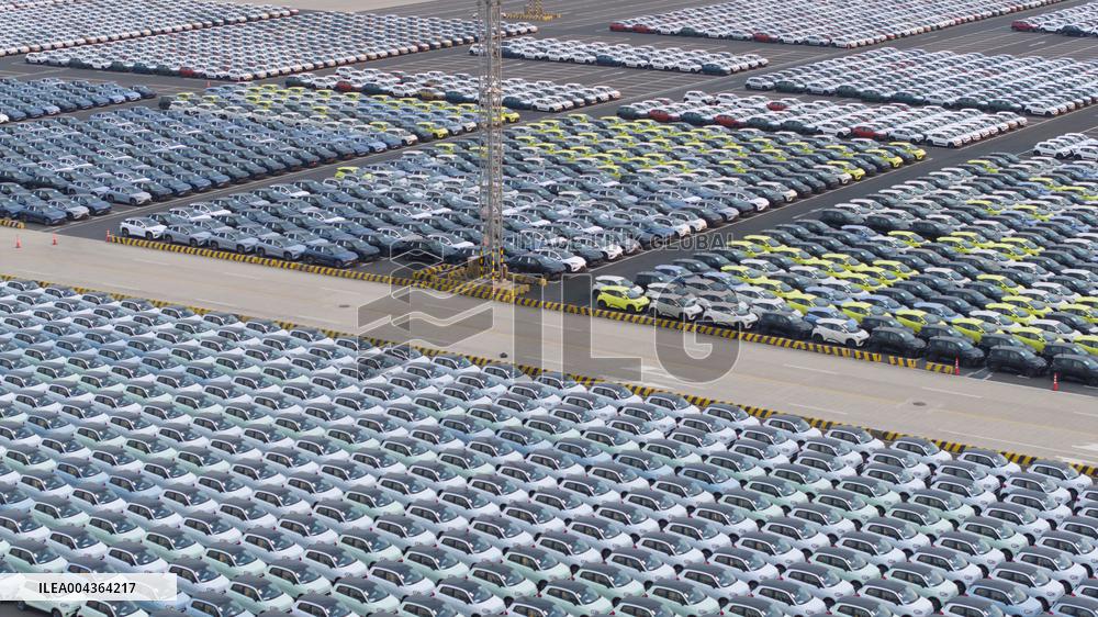 BYD Vehicles Export To Brazil