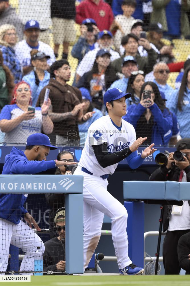 Baseball:Shohei Ohtani