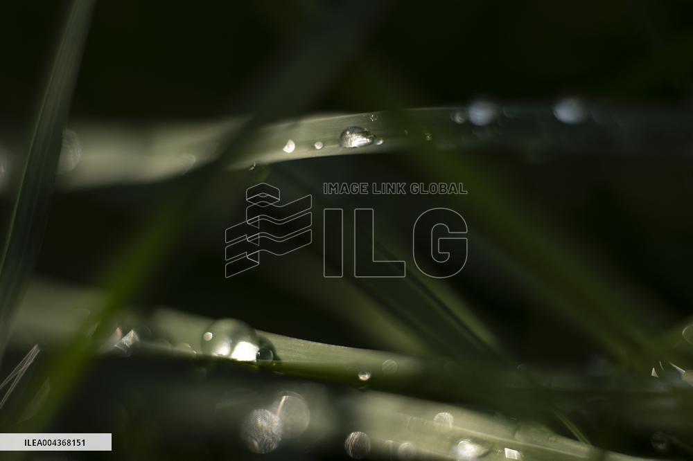 Illustration Environment - Morvan