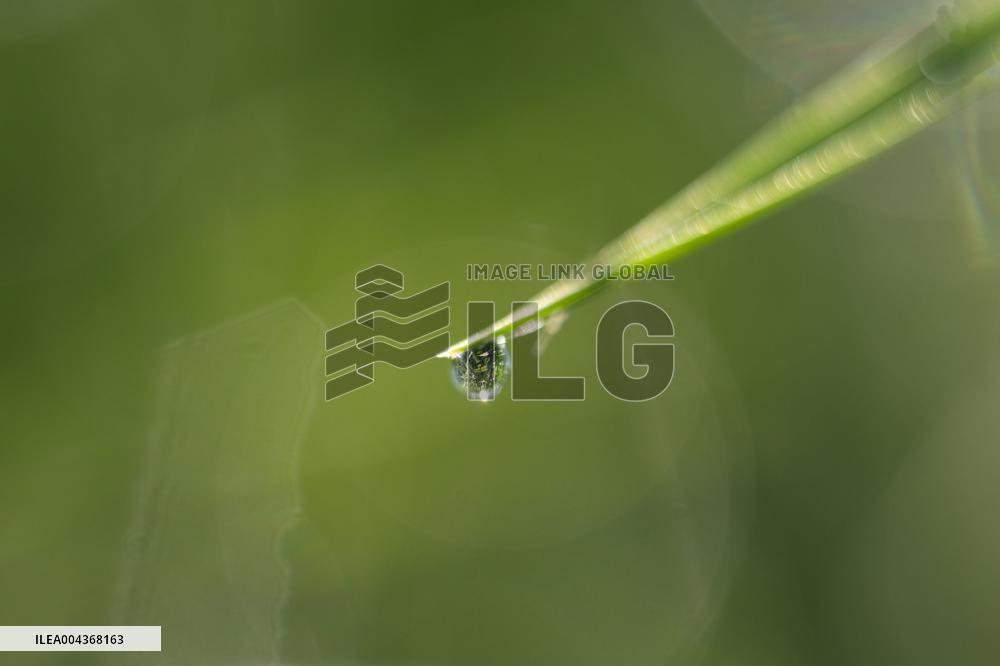 Illustration Environment - Morvan