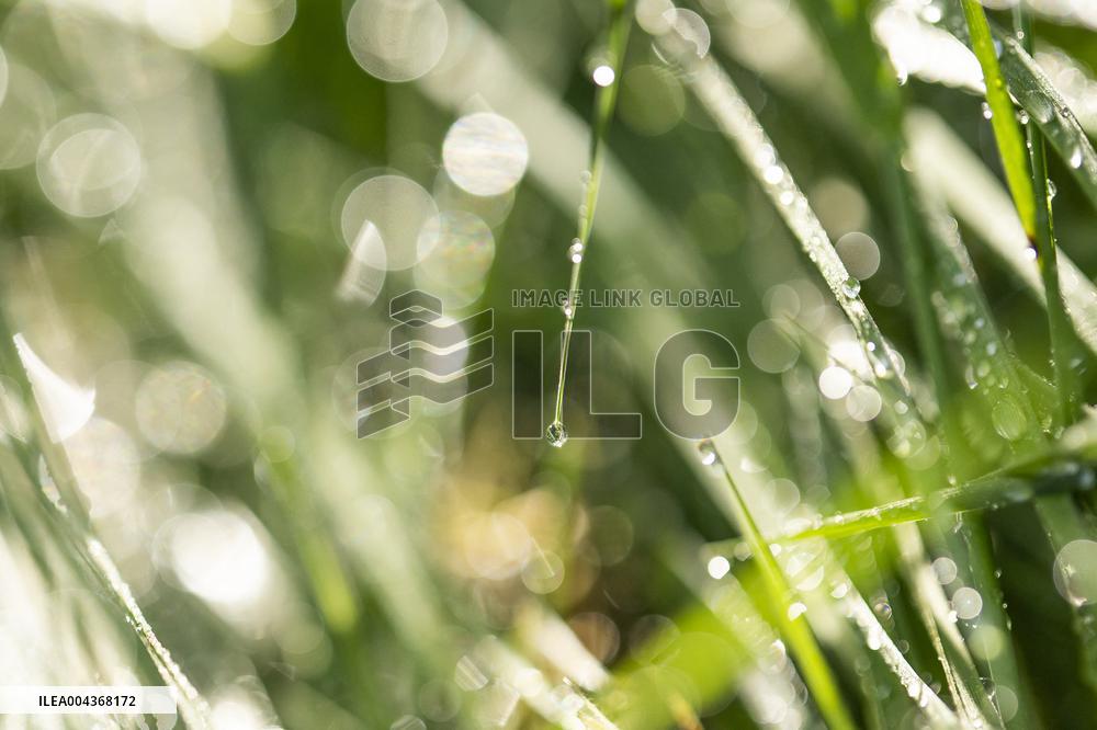 Illustration Environment - Morvan