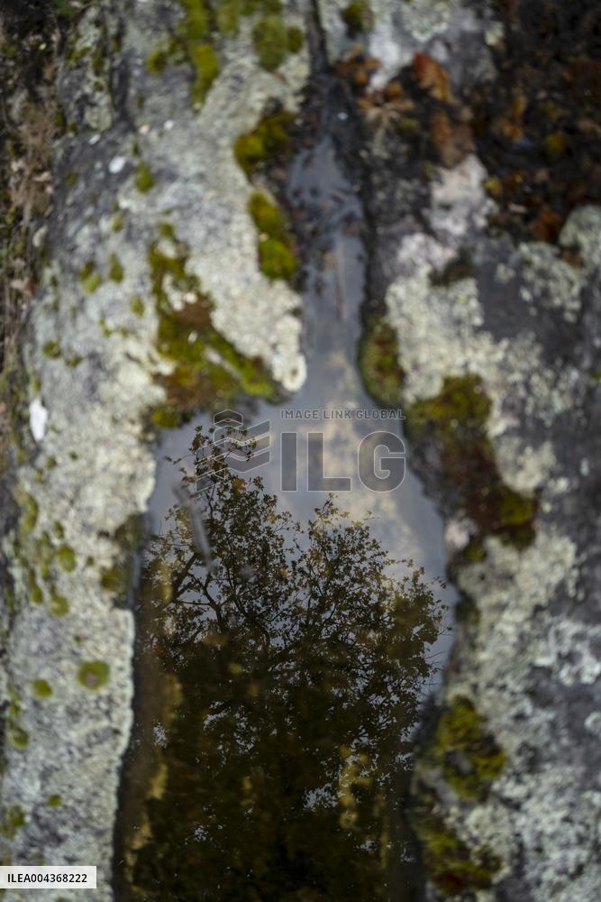 Illustration Environment - Morvan