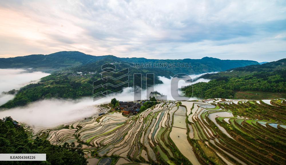 Terraced fields in China