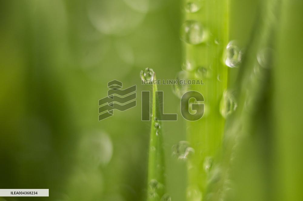 Illustration Environment - Morvan