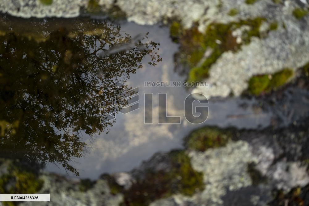 Illustration Environment - Morvan