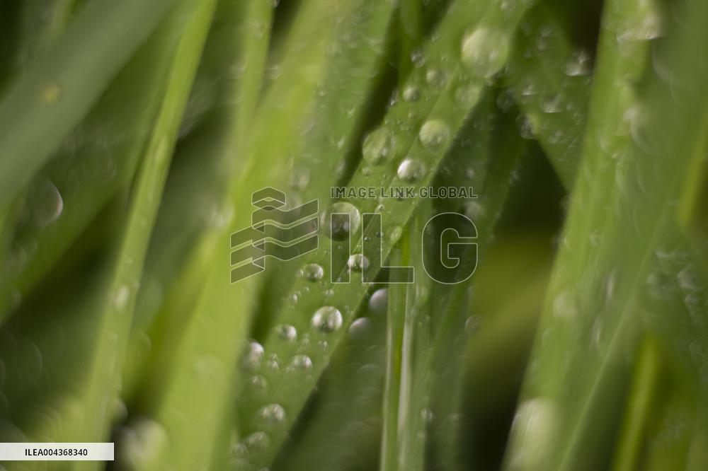 Illustration Environment - Morvan