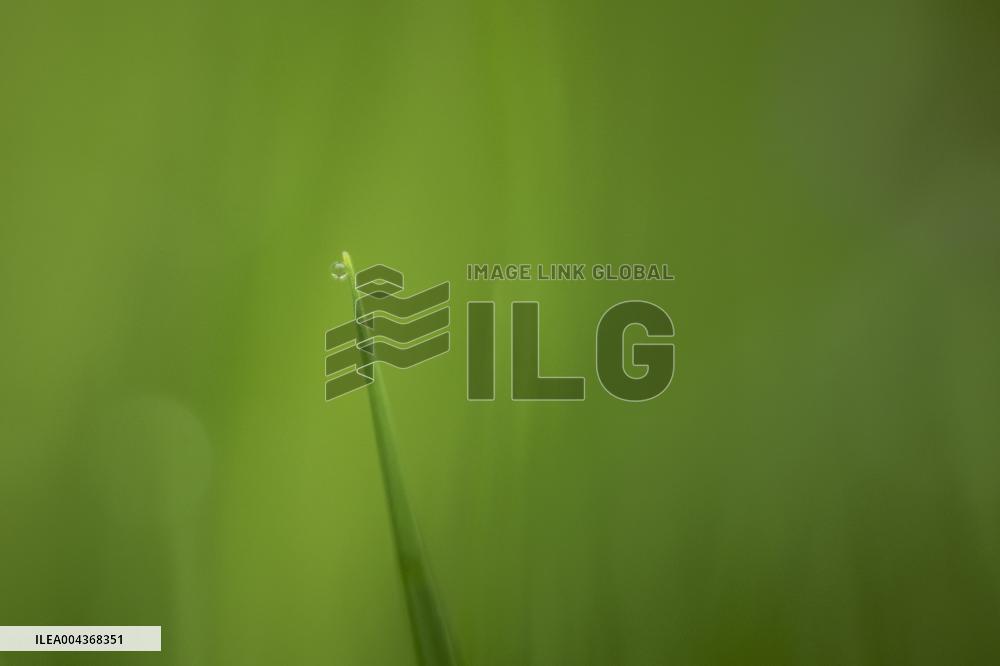 Illustration Environment - Morvan