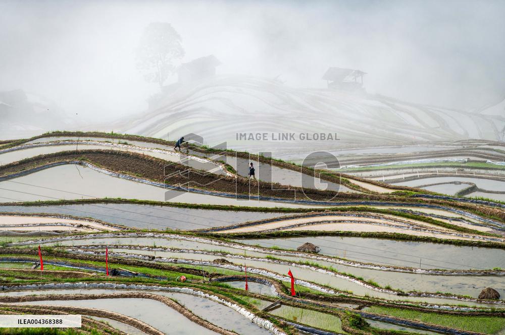 Terraced fields in China
