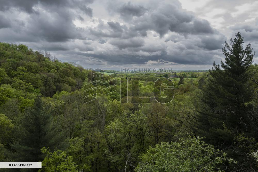 Illustration Environment - Morvan