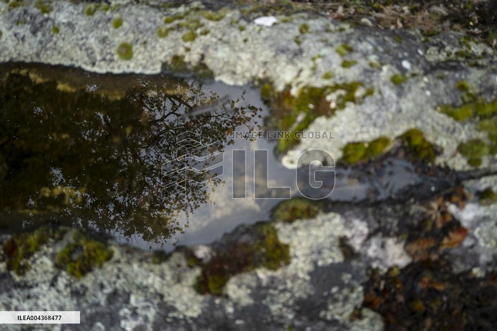 Illustration Environment - Morvan