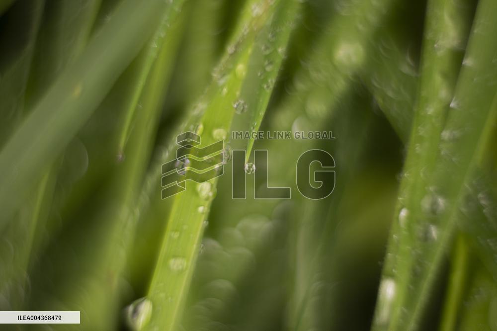 Illustration Environment - Morvan