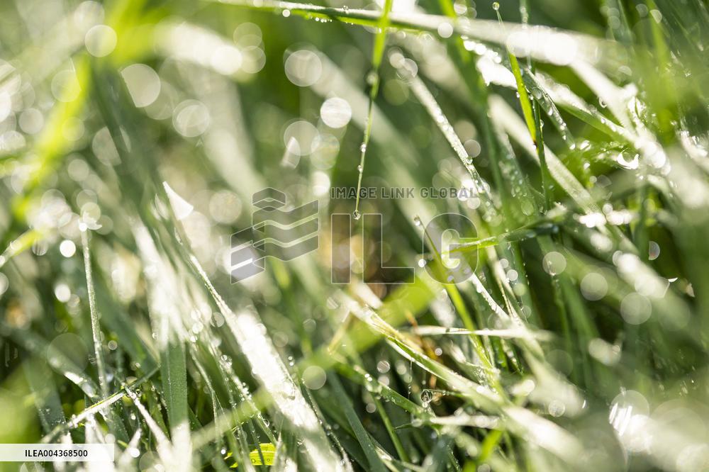 Illustration Environment - Morvan