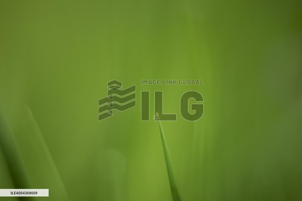 Illustration Environment - Morvan