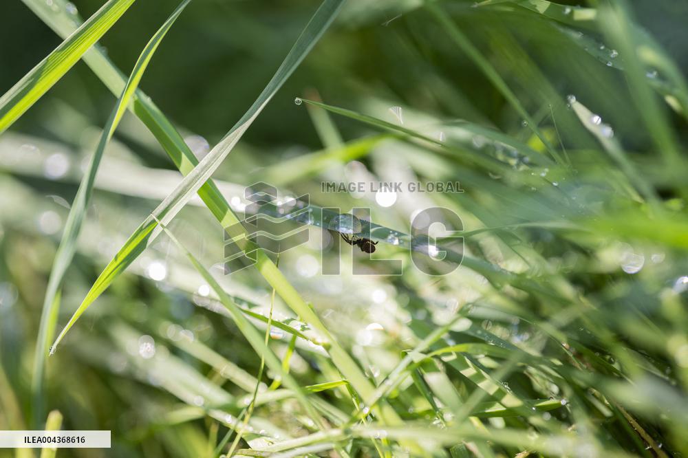 Illustration Environment - Morvan