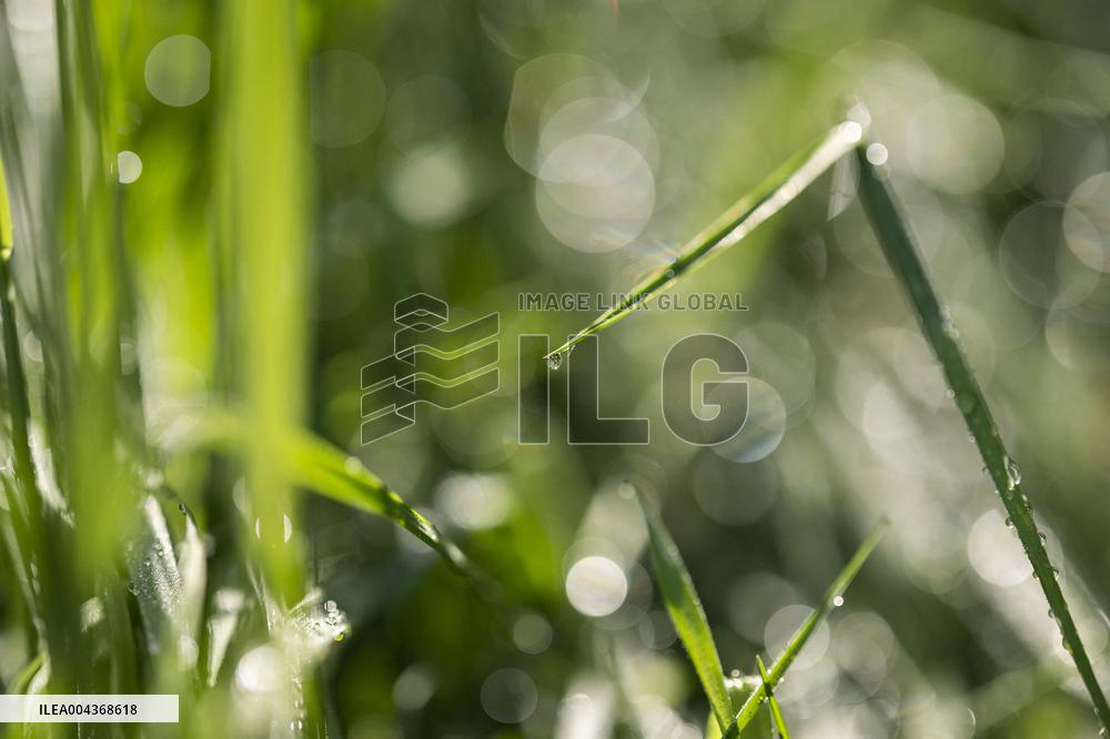 Illustration Environment - Morvan