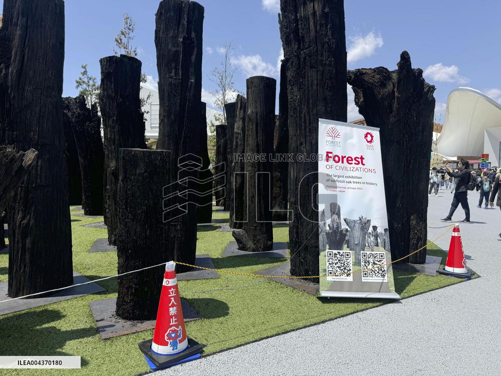 World Exposition in Osaka