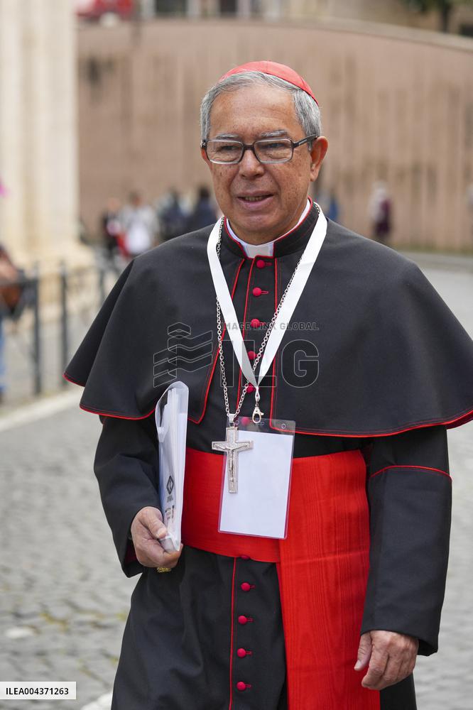 Delegation of Cardinals at Fifth General Congregation - Vatican