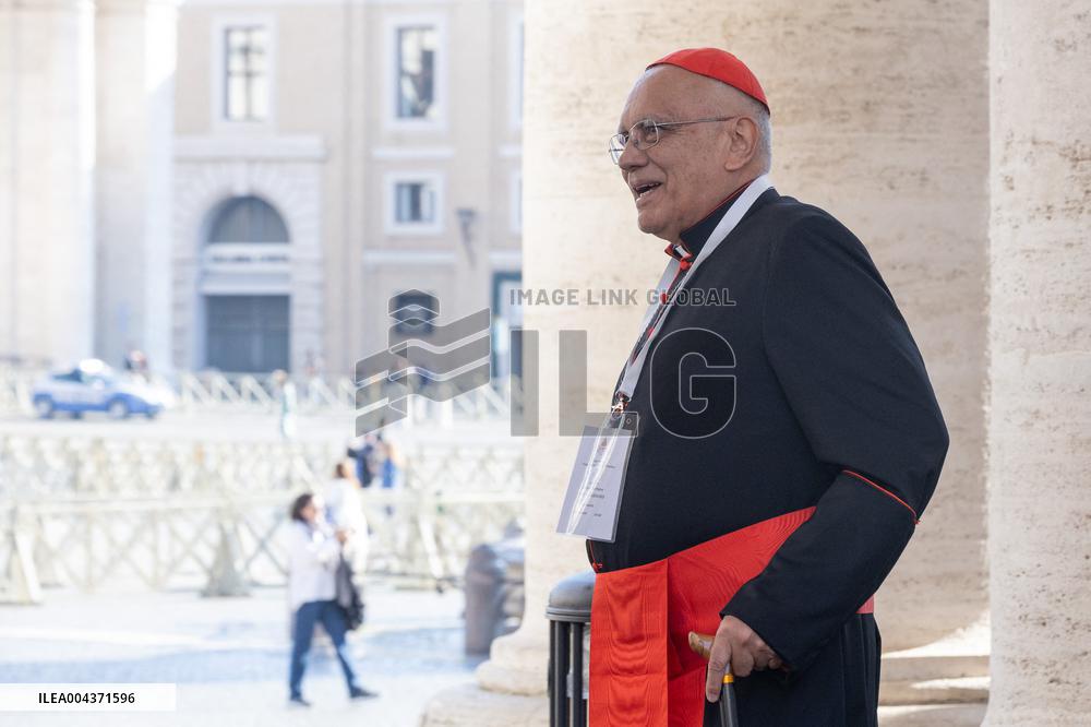 Delegation of Cardinals at Fifth General Congregation - Vatican