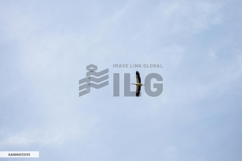 Aftermath of Russian occupation of Maksymivka village in Mykolaiv region