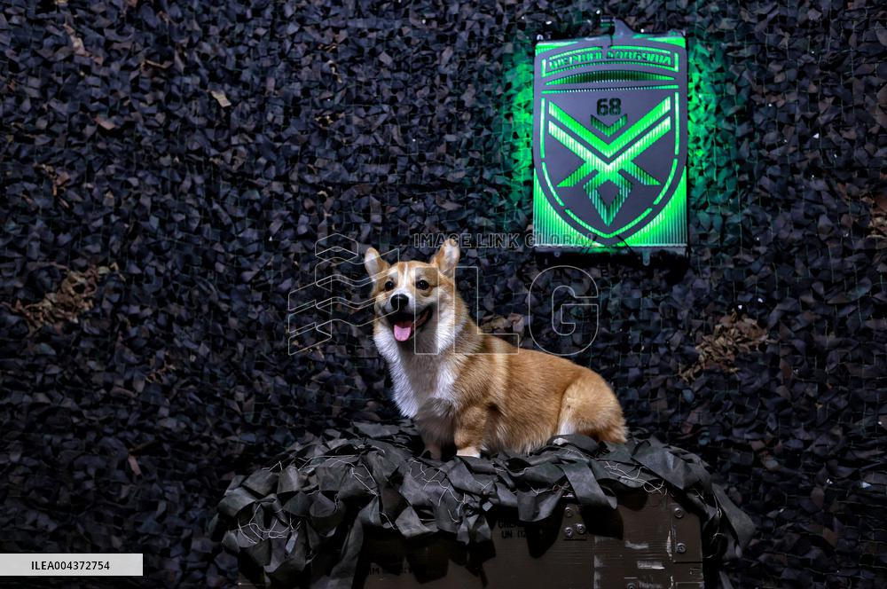 Shershni Dovbusha UCAV company serves in Pokrovsk direction